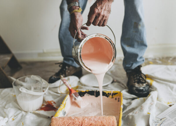 Paint and Accessories